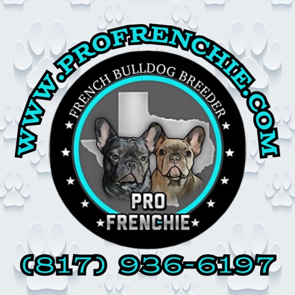 Meet your Posher, Megan - Picture 6 of 6